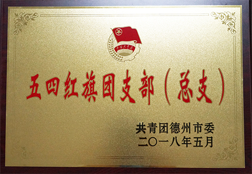 十大买球的正规网站-买球赛（中国）官方网站
荣获“德州市五四红旗团支部”荣誉称号